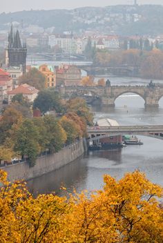 a river running through a city next to trees with yellow leaves on them and a bridge in the background