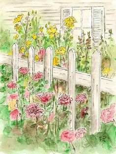 watercolor and ink drawing of flowers in front of a white picket fence