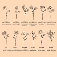 different types of flowers are shown in this graphic style, and each flower has its own name