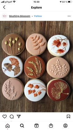 the cookies are decorated with different types of leaves and flowers on them, along with words that say explore