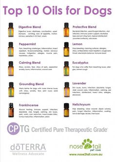 Essential Oils Tips And Techniques For tiny house #tinyhouse Are Essential Oils Safe, Dog Essentials, Diffuser Recipes, Young Living Oils, Doterra Oils, Oil Uses, Essential Oil Uses