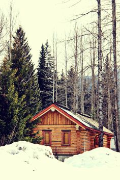 a log cabin in the woods with snow on the ground and pine trees behind it