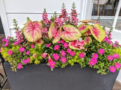 a planter filled with pink and green flowers