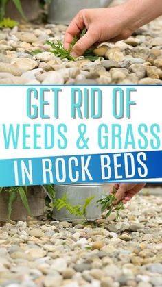 a sign that says get rid of weeds and grass in rock beds