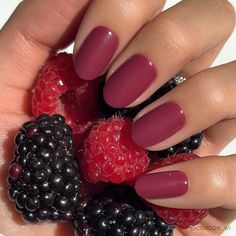 Berry Maroon Winter 2024 Nail Polish Colors, Wine Dip Nails, Matte Berry Nails, Rust Fall Nails, Berry Colour Nails, Berry Nails Fall, Muted Red Nails, Chocolate Cherry Nails, Classic Holiday Nails