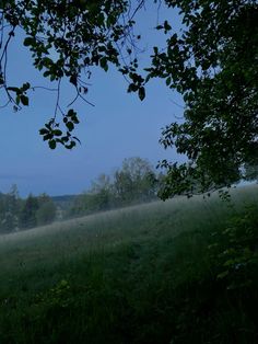 an open field with trees in the background and fog coming from the grass on the ground