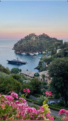 an island with boats in the water and pink flowers growing on it's sides