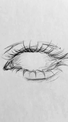 a pencil drawing of an eye with long lashes and large eyelashes on the outside of it