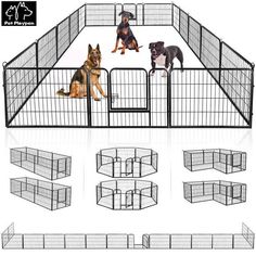 four dogs are sitting in their caged enclosures and one dog is laying down