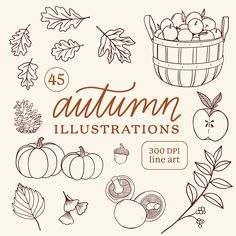 an autumn illustration set with leaves, apples and acorns in brown ink on a white background