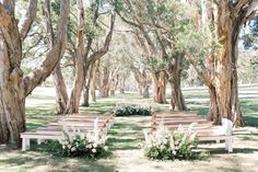 an outdoor ceremony setup with white flowers and greenery in the foreground, surrounded by trees