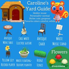 an info sheet describing the various types of garden furniture and flowers in front of a blue background