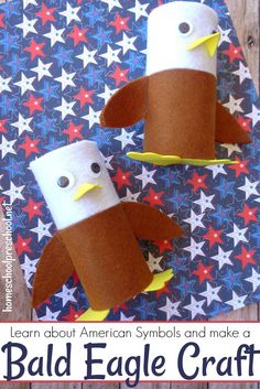 an eagle craft made out of toilet paper with the words learn about american symbols and make a bald eagle craft