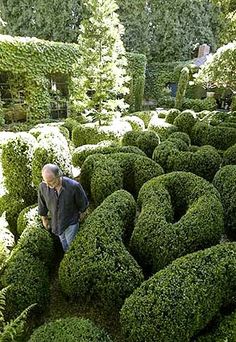 a man standing in the middle of a maze made out of bushes and trees with white flowers