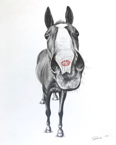 a pencil drawing of a horse's face with its mouth open and tongue out