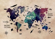 the world map is made up of fish and watercolors on an old paper