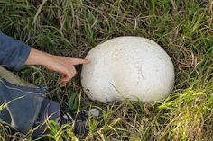 a person kneeling down next to a large white ball in the grass with their finger pointing at it