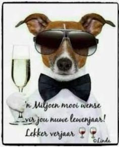 a dog wearing sunglasses and a bow tie with a glass of wine in his hand