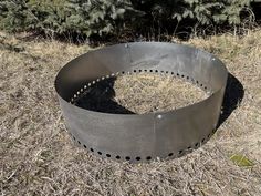 a metal ring sitting in the middle of a field with grass and trees behind it