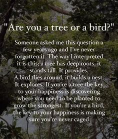 a poem written in front of trees with the words are you a tree or a bird?