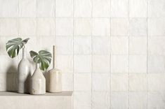 three white vases with green plants in them on a shelf against a tiled wall