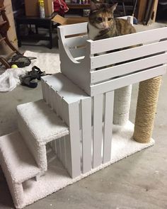 a cat sitting on top of a white wooden chair next to a pile of carpet