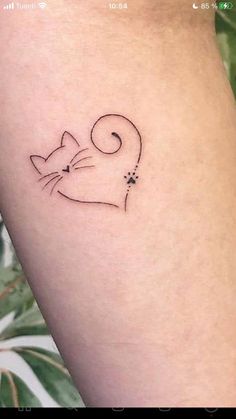 a small cat tattoo on the left side of the leg, and an outline of a cat