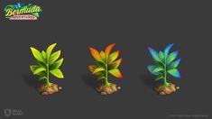 some plants that are sitting in the middle of three different stages of growth, and one is