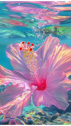 a pink flower is floating in the water