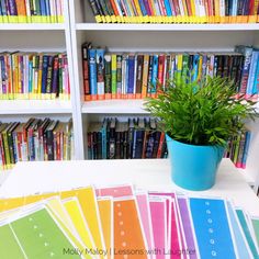 a potted plant sitting on top of a table in front of bookshelves