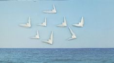 a flock of white birds flying over the ocean