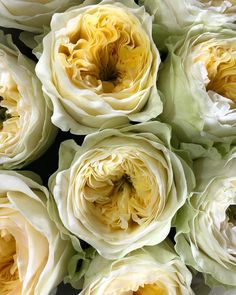 white and yellow flowers are arranged together