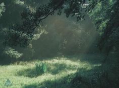 the sun shines through the trees and grass in an open field with tall grasses