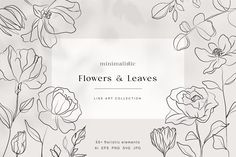 flowers and leaves line art collection