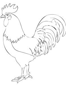 a black and white drawing of a rooster standing on one leg with its head turned to the side