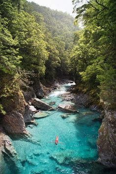 a person kayaking down a river surrounded by trees