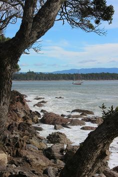 there is a boat that is in the water near some rocks and trees on the shore