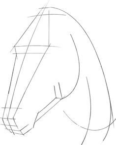 a horse's head is shown in this drawing