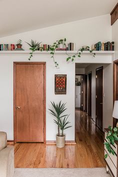 a living room filled with furniture and plants