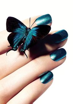 val's chaotic mind Madam Butterfly, Teal Butterfly, Color Turquesa, Shades Of Teal, Shades Of Turquoise, Butterfly Nail, Nail Arts, Manicure E Pedicure, Gorgeous Nails