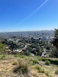 a view of the city from atop a hill with trees and bushes in foreground