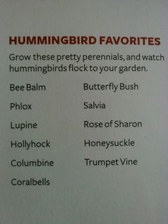 the hummingbird favorites list is displayed on a white board with red writing and black lettering