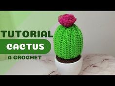 a crocheted cactus sitting on top of a white pot filled with green and pink yarn