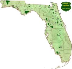 a map showing the location of florida's major cities and their corresponding locations in green