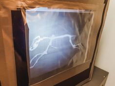 an image of a skeleton in a plastic bag on top of a tv monitor screen