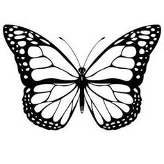 a black and white butterfly with the words click here for full image viewing