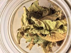 a glass jar filled with lettuce on top of a table