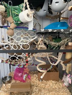 a cage filled with lots of different types of birds and hamsters on top of it