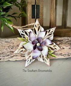 a white and purple flower sitting on top of a piece of wood