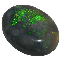 an oval shaped green and black object